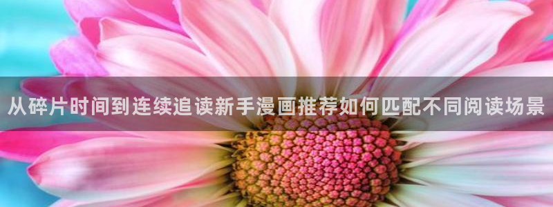 拷贝漫画:从碎片时间到连续追读新手漫画推荐如何匹配不同阅读场景