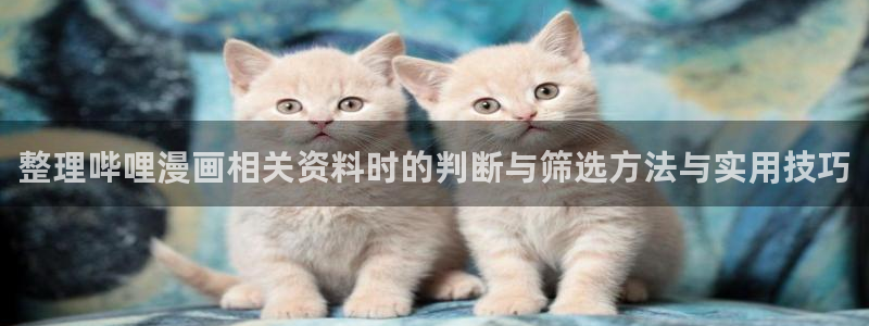 漫画免费阅读:整理哔哩漫画相关资料时的判断与筛选方法与实用技巧